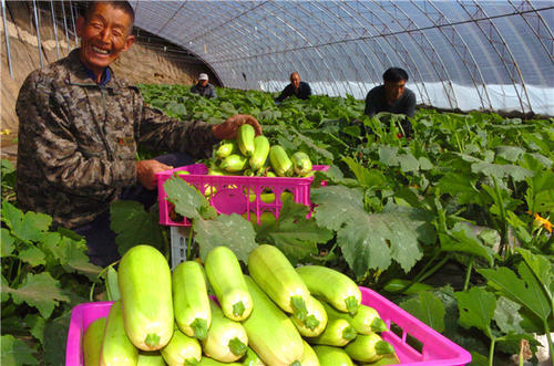 u=4219678105,492279402&fm=26&gp=0 u=4219678105,492279402&fm=26&gp=0