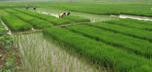 4c0d9849bd679e78458304f70b005751 4c0d9849bd679e78458304f70b005751